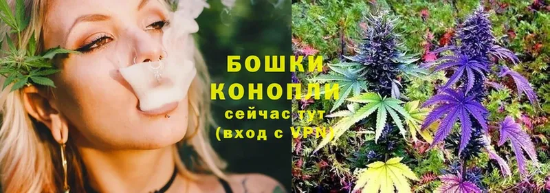 где купить наркоту  Сельцо  Бошки марихуана OG Kush 